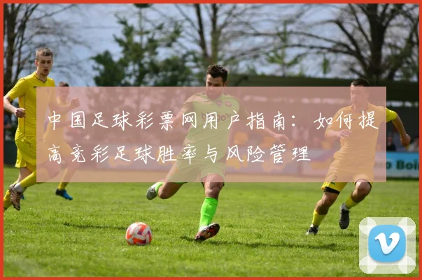 中国足球彩票网用户指南：如何提高竞彩足球胜率与风险管理